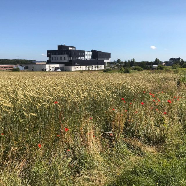 TMV23 is standing strong and will be ready for new students after summer holidays. In the meantime we hope everybody enjoys a little sunshine! ☀️
#aalborguniversitet#aalborguniversity#indoorenvironmentalandenergyengineering#ieee#buildingenergydesign#civilengineering#iamcivil#civilingeniør#byggerioganlæg#university